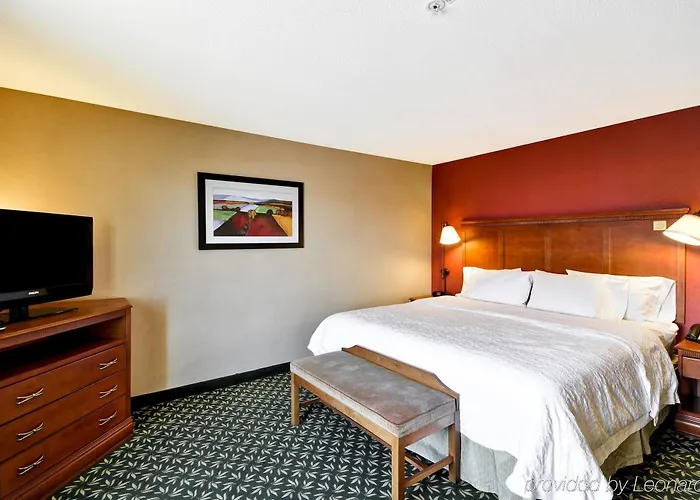 Hotel Hampton & East Tucson